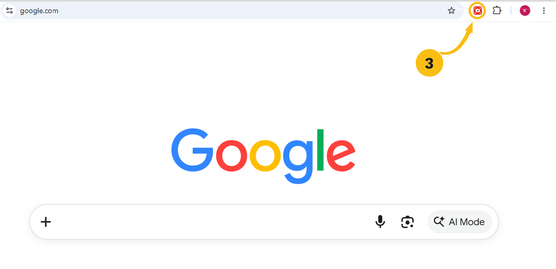 Chrome Snapshot icon pinned in the Chrome toolbar, highlighted